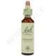 Bach Flower Remedies for Animals - Agrimony
